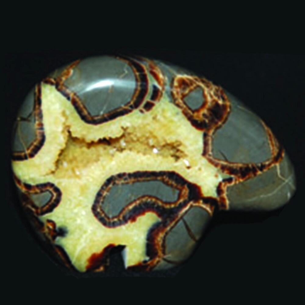 Septarian Nodule Bear Stone Carving | Carved Statue Figurine Rock Crystal